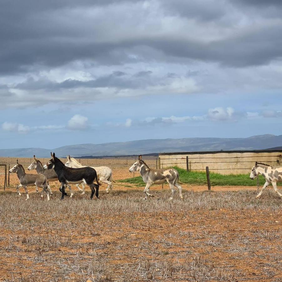 Oorvloed Guesthouse Swellendam Bagian luar foto