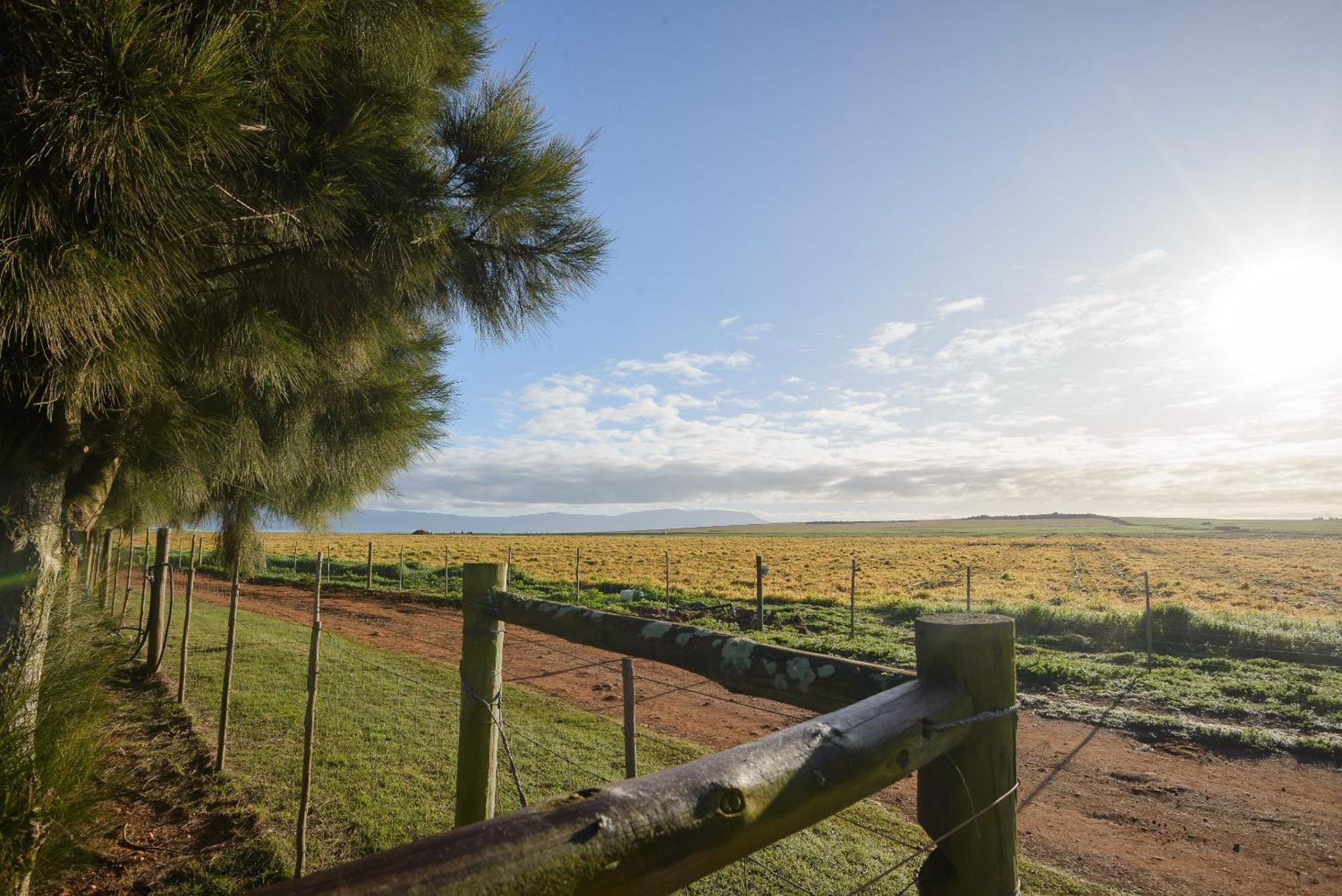 Oorvloed Guesthouse Swellendam Bagian luar foto